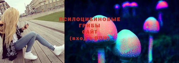 скорость Богородицк