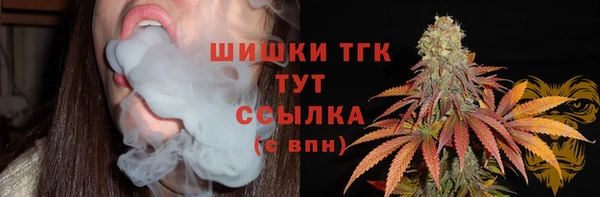скорость Богородицк