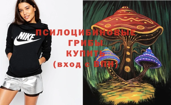 ALPHA PVP Богородск