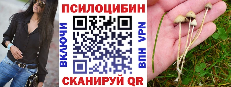 Псилоцибиновые грибы Psilocybe  Комсомольск-на-Амуре 